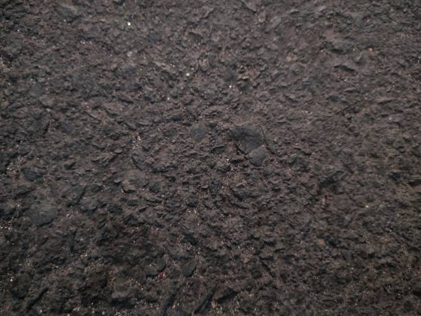 istock hard textured background of asphalt 2164044703
