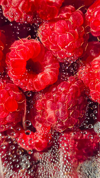 istock Raspberry berries. Autumn harvest. Making jam and sauce. Macro photography. 2164047655