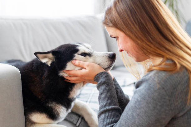 istock Woman bonding with her dog on the couch 2164048193