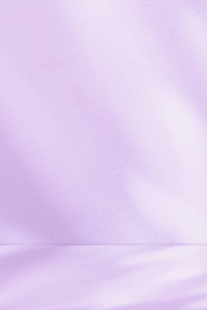Purple Background,Studio Room with Abstract light,Leaves Shadow on Floor and Wall for Autumn Product Present. Minimal Interior with Pink Pastel Colour platform 3d Podium Display	 for Winter
