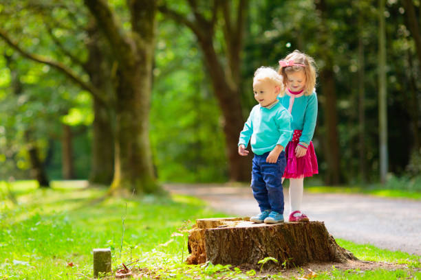 Kids explore nature. Children play in sunny park.