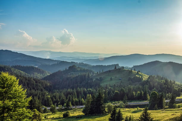 istock Landscapes - Macro  - Forest - Europe, Romania 2164052044