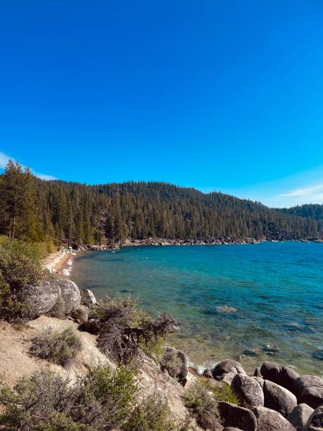 istock Northern California 2164055208