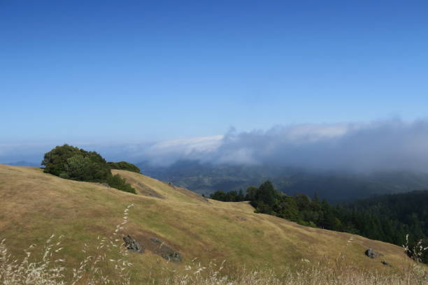 istock Northern California 2164055219