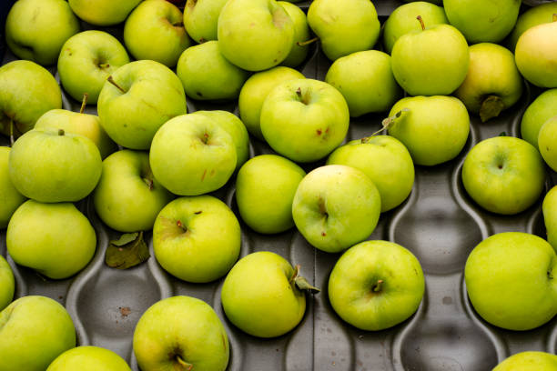 Fresh and ripe green apples in retail display