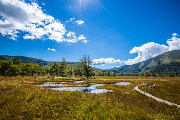 istock Autumn scenery of Ozegahara, Gunma Prefecture 2164061832