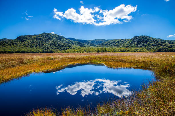 istock Autumn scenery of Ozegahara, Gunma Prefecture 2164064017