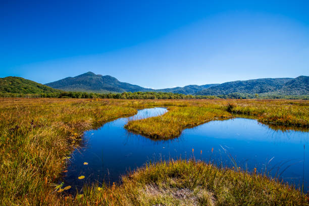 istock Autumn scenery of Ozegahara, Gunma Prefecture 2164064774