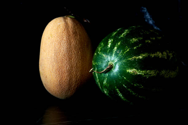 watermelon and melon lie on black background