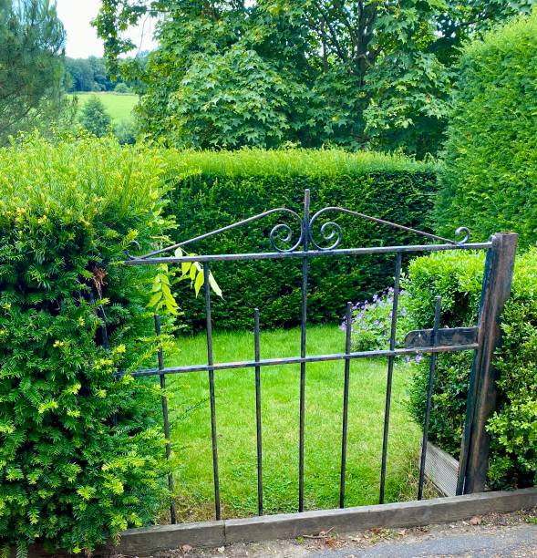 istock Gate to secret garden 2164068415