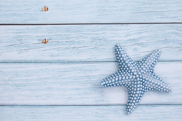 istock starfish on the background. A tropical souvenir from a vacation 2164068486