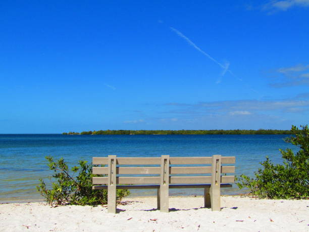 istock A view of Tampa Bay 2164068511