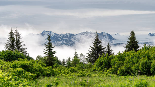 Coastal mountain range near Homer Alaska