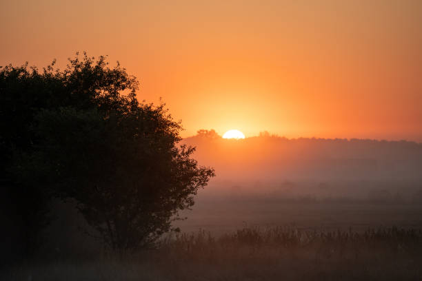 istock Sunny autumn sunrise 2164072132