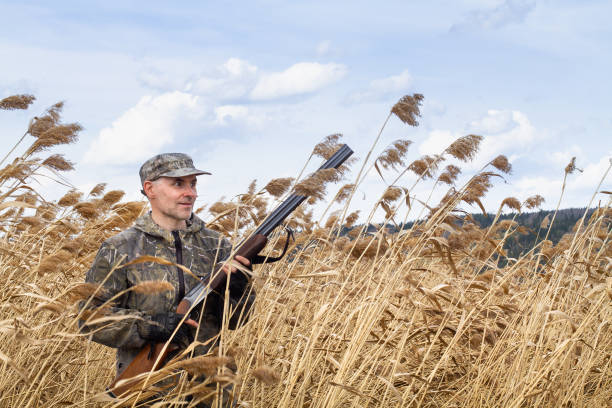 istock A duck hunter stands among the tall reeds 2164072768