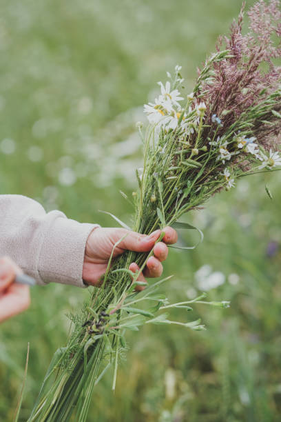 istock Picking wild flowers in the fields 2164074114