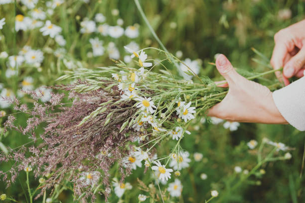 istock Picking wild flowers in the fields 2164074118