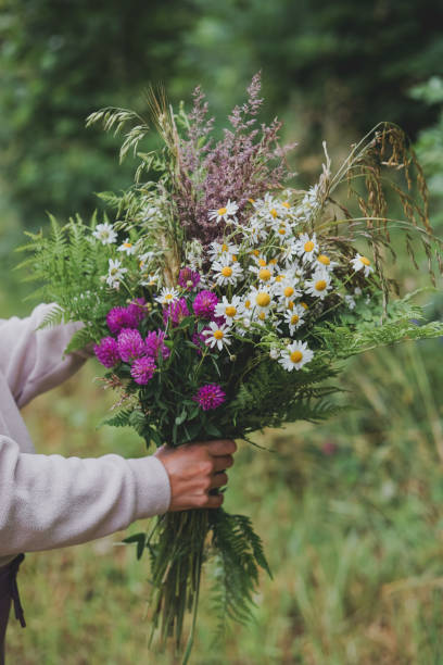 istock Picking wild flowers in the fields 2164074146