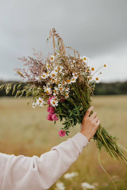 istock Picking wild flowers in the fields 2164074233