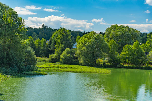 Beautiful nature in the village, fields and meadows in summer
