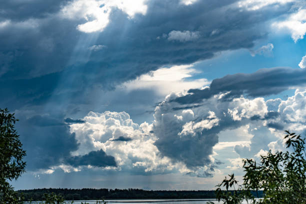 beautiful nature, beautiful flowers and wildlife, summer landscapes