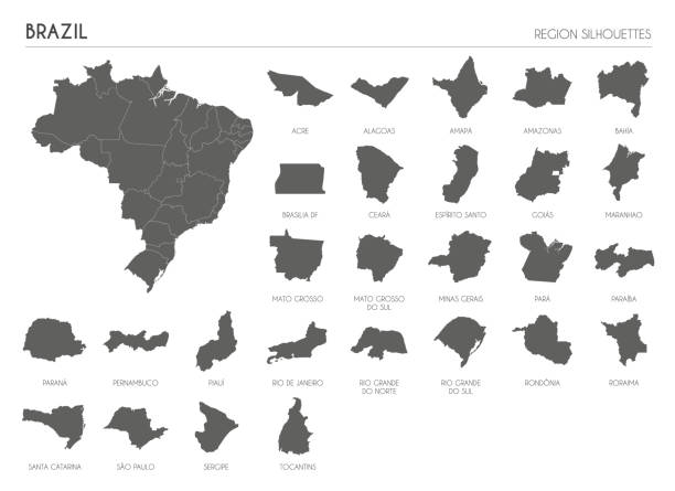 Brazil region silhouettes set and blank map of the country isolated on white background. Vector illustration design Brazil region silhouettes set and blank map of the country isolated on white background. Vector illustration design rio parana stock illustrations