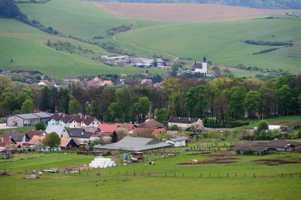 istock rural farm with grazing sheep and horses 2164080345