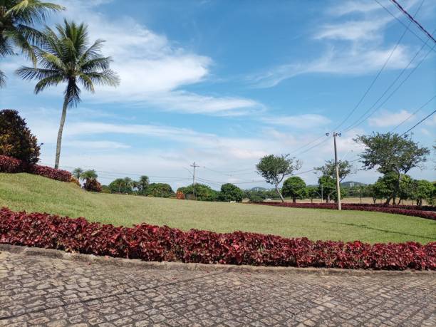 istock Garden of Longing Cemetery 2164080695