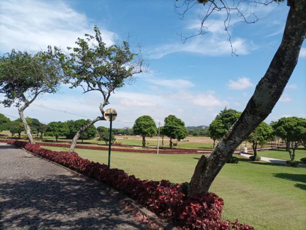 istock Garden of Longing Cemetery 2164080722