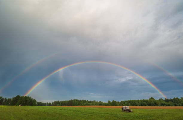 Two rainbows after a storm over a pasture, with cows, a watering hole, a feeding trough