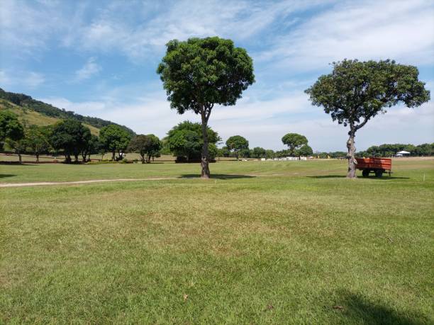 istock Garden of Longing Cemetery 2164080845