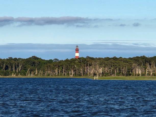 istock Assateague Lighthouse from Chincoteague 2164084868