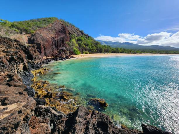 istock Sweeping View of Big Beach on Maui 2164086556