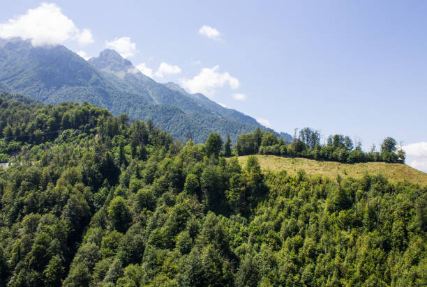 istock beautiful panoramic mountain landscape with green slopes and trees 2164091378