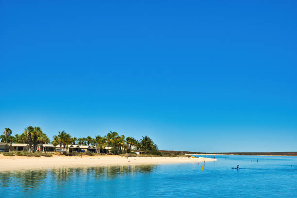 istock Tropical beach with palm trees and resort bungalows,  Monkey Mia, Australia 2164094369