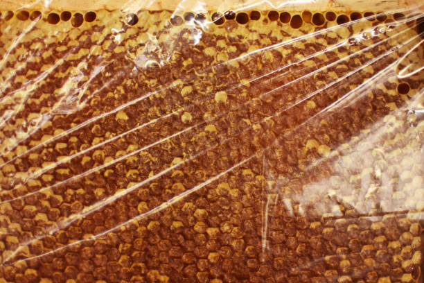 Honeycomb in close-up