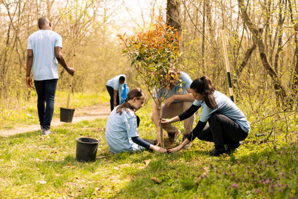 istock Small child and activists group do voluntary work by planting trees 2164109568