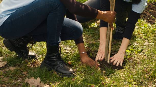 istock Activists joining forces in planting trees in the woods 2164111050