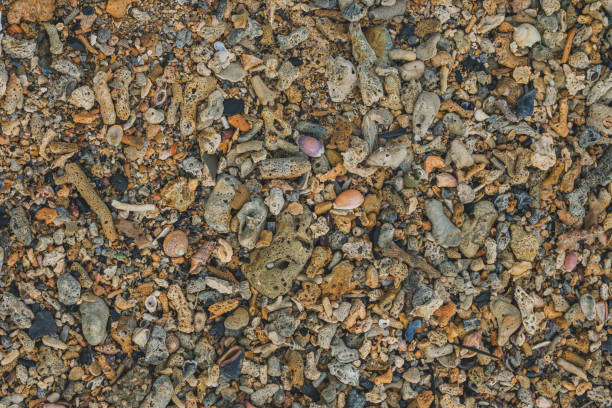 A close-up photo of a pile of smooth, colorful rocks and seashells on a sandy beach.  The pile includes a variety of shapes, sizes, and colors.