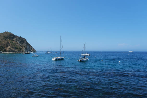 Calm Pacific Ocean water covered with moored sailboats surrounded by mountain range under sunny sky on Catalina Island off the coast of California.