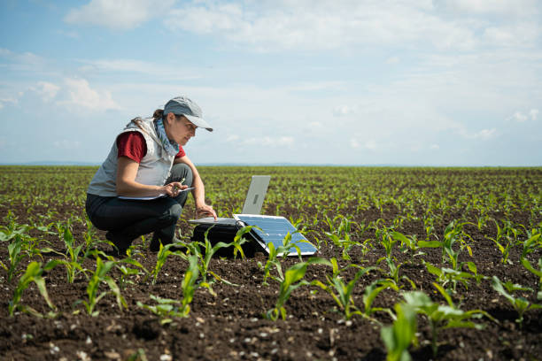 istock Regenerative Agriculture & Ecology. Soil Study with Mobile Lab. 2164115664