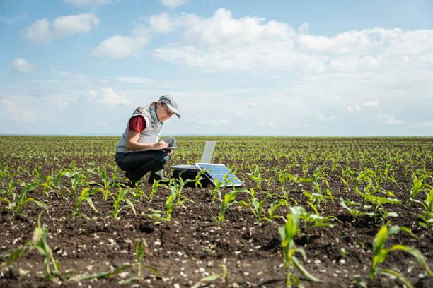 istock Regenerative Agriculture & Ecology. Soil Study with Mobile Lab. 2164115666
