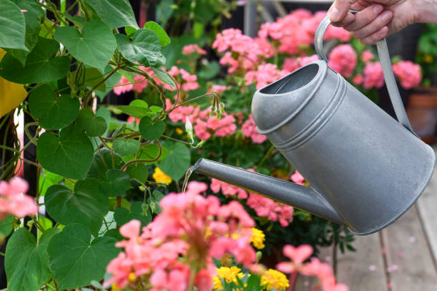 Closeup watering can with a hand watering plants on a balcony