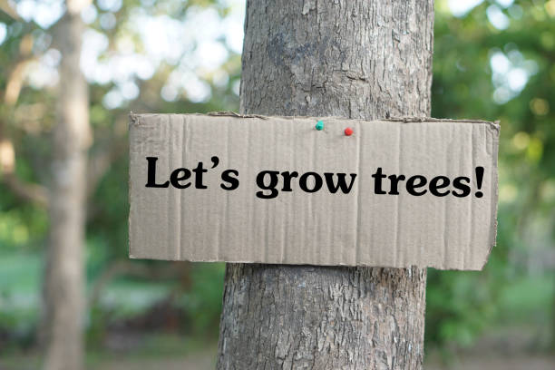 istock Paper sign with text Let's grow trees!. Concept, forest conservation for the earth. Environment protection. Campaign and motivate to grow trees to increase forest area. 2164119049