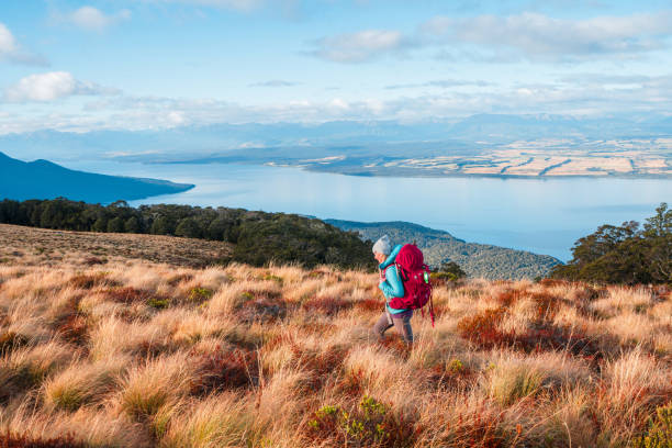 istock Into the wild, hike and seek. 2164119160