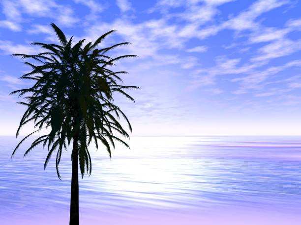 This is a picture I imagined.\nI do not use photos or illustrations for reference.\nImage rendered by 3D software.\nI'm not using \