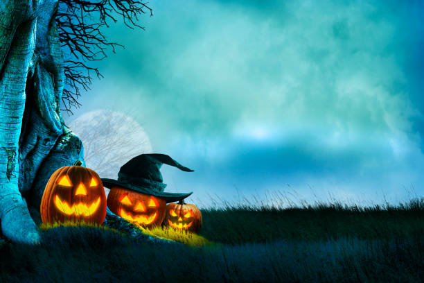 istock Jack O'lanterns Resting At The Base Of A Crooked Tree 2164120422