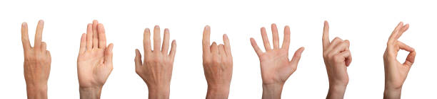 istock Different hand gestures set. Victory, V sign, hi, bye, horns rock, pointing indicating finger, ok 2164120719