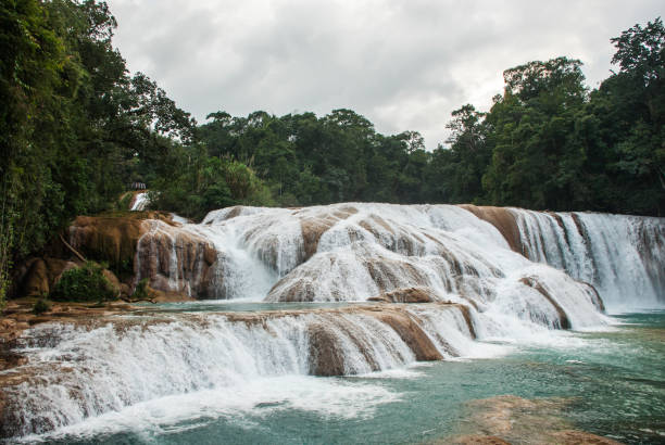 istock Agua Azul waterfalls in Mexico. 2164121216
