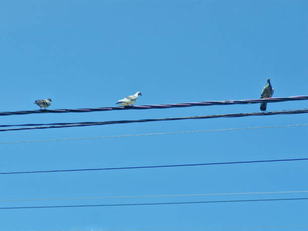 Natal, Rio Grande do Norte, Brazil.